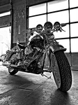 Harleybw