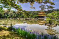 Kinkaku-ji