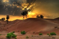 Desert0812