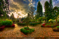 Cameron-highland-tanah-rata-park-morning-hdr-photography2
