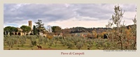 Campoli_corn_2000
