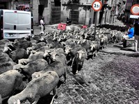 Por_el_medio_de_segovia