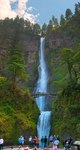 Multnomahpan