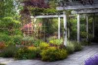 Garden_walk2