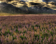 _hrj9558and8more_72_dpi