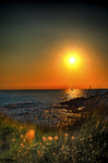 Slow_morning1