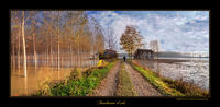 Finalmente_il_sole