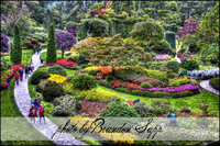 Hdr09