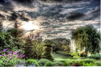 Img_3030_1_2_tonemapped-ltm2