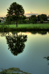Over_pond