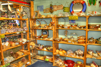 Shells_signs_and_stuff-1