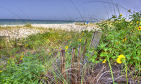 _dsc8875_6_7_tonemapped