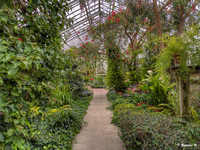 Hidden-lake-gardens-21-1_-2_-3_tonemapped