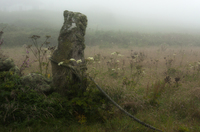 Portal_stone