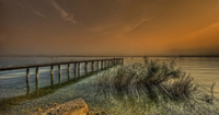 Lost_world