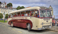 Old_coach
