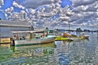 Crystal_river_copy