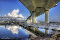 Marina-under-the-memorial