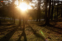 Sunset_park
