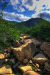 Dsc_0367_hdr