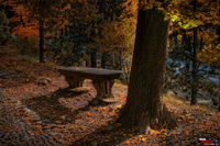 Evidence_of_autumn