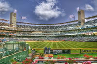Petco-field-san-diego