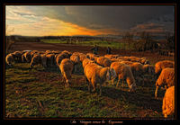 In_viaggio_verso_la_capanna