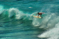 Surfer-in-maui_-hawaii