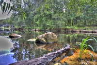 Stump_35stump36stump_34and2more_tonemapped