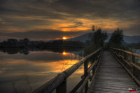 Waiting_to_the_night