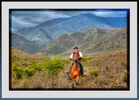 Horseman2frames