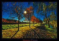 Incantesimo_d_autunno