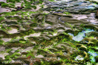 Low-tide-rocks