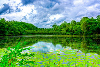 Bandaragama