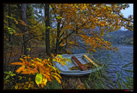 Solitudine_autunnale_cn