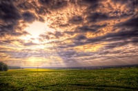 Aufm_land_01