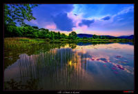 The_dreams_in_the_pond