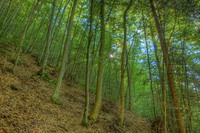 Img_1205_06_07_08_10_tonemapp_