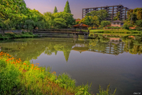 Hdr_11_a2