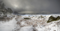 Roachsnow_pan2hdr