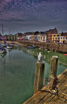 Sea_gull_ilfracombe_hdr