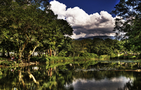 Jardin_botanico_web