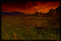 Tramonto_