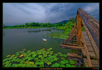 Uncontaminated_free_nature