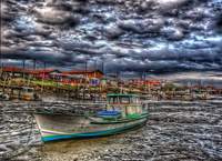 Marea