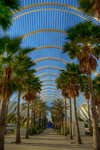 Hdr21