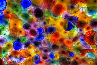 Chihuly_flowers_-_hdr_mg_3877_8_9_tonemapped