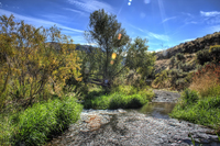 Douglas_creek_iiii
