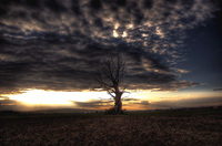 Dsc_1057and7more_tonemapped