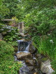 Botanical_waterfall_ii